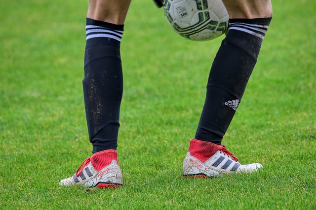 成具备国际 成具备国际