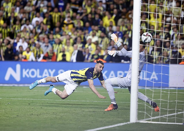 在卡塔爾世 在卡塔爾世