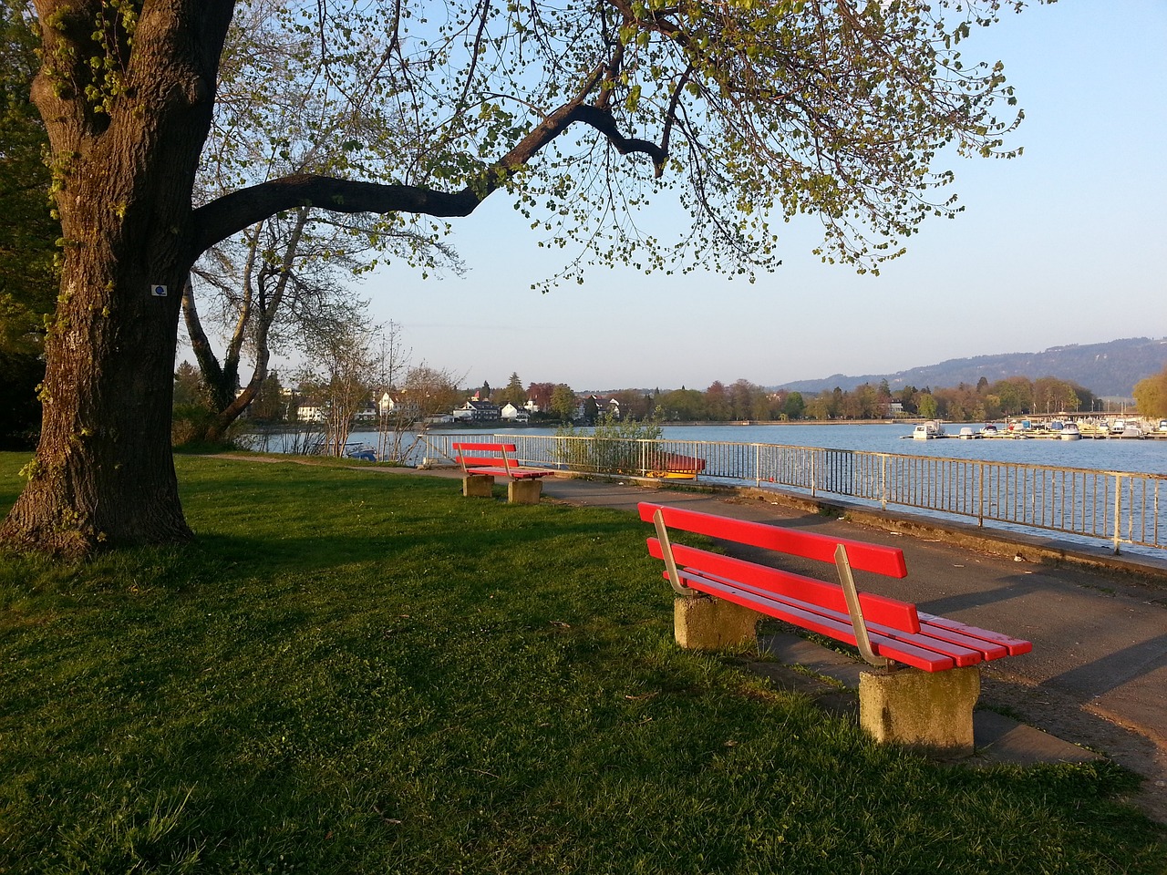 蓝黑生涯 蓝黑生涯