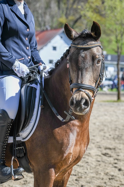 比赛的旅程 比赛的旅程