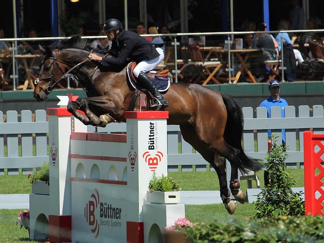 分上显得激 分上显得激