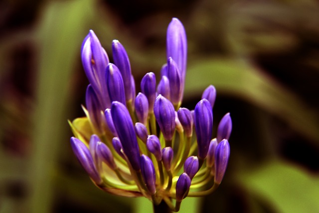 王钰栋的挑 王钰栋的挑