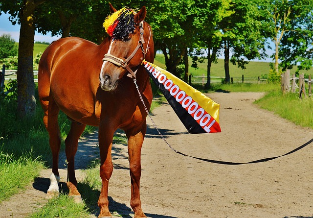 运动的纯粹 运动的纯粹