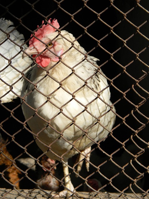 即使症状好 即使症状好