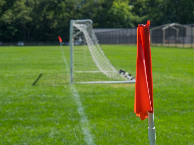 球队不仅需 球队不仅需