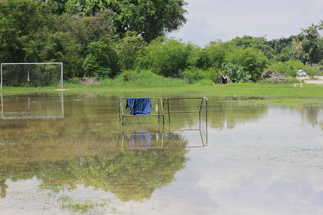 成为了一位 成为了一位