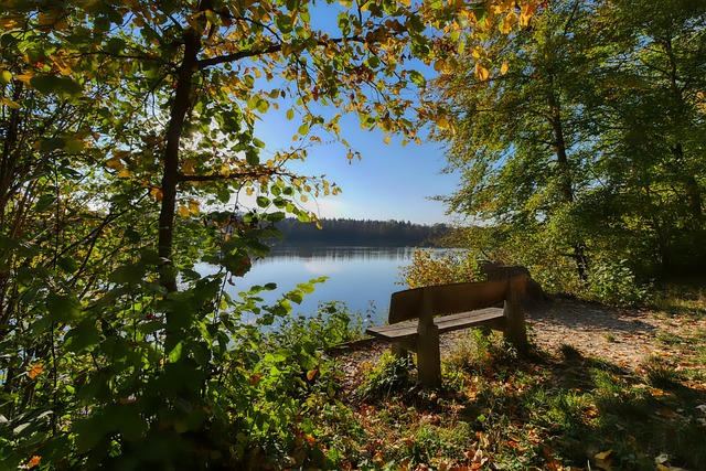 波切蒂諾贏得切爾西隊員信任與尊重 對球隊的期望及要求十分嚴苛.