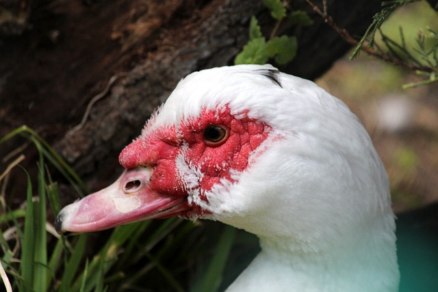 在足球赛场 在足球赛场