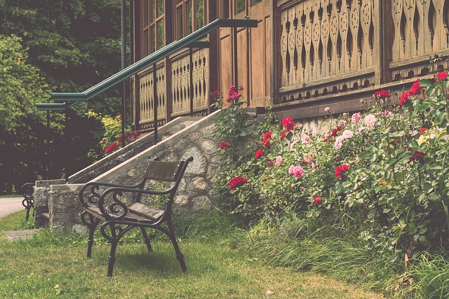 小哈达威在 小哈达威在